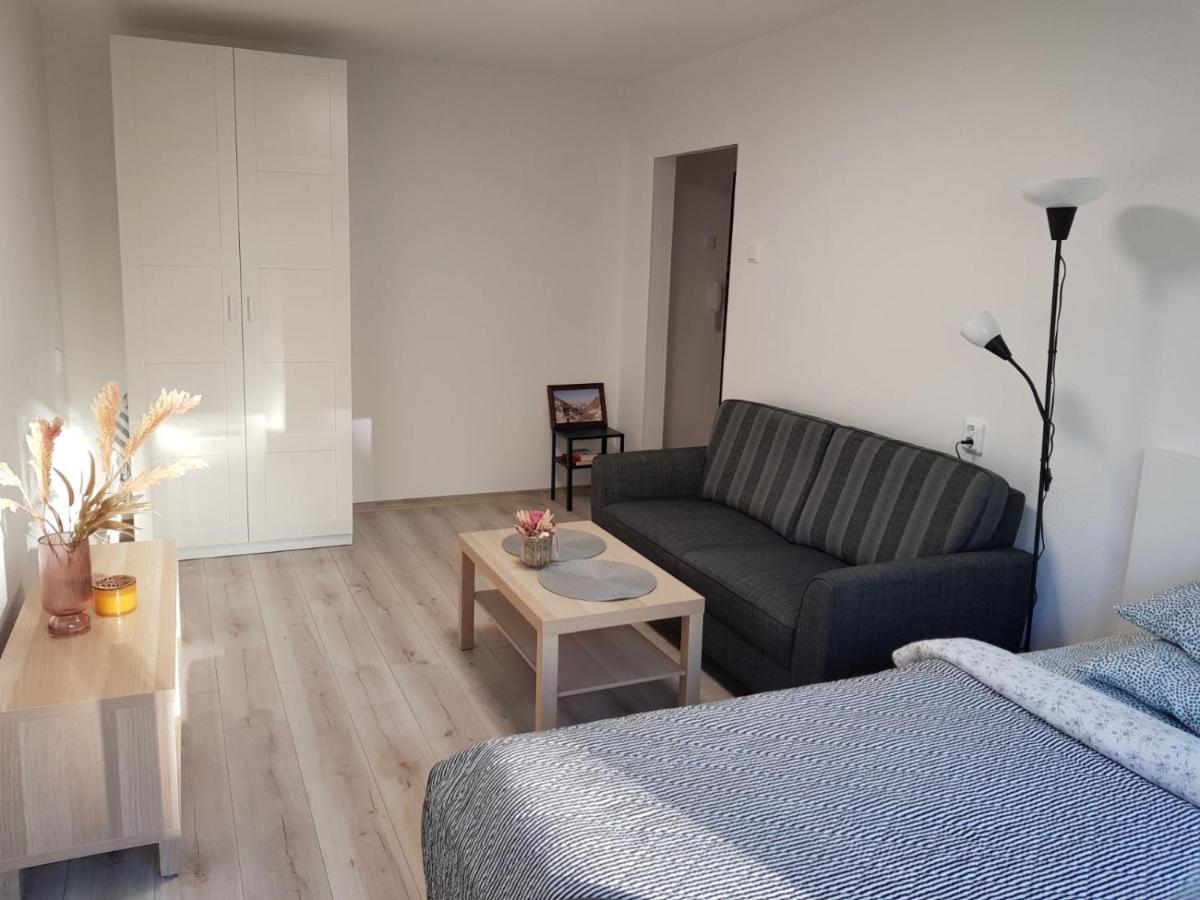Modern Studio Naujakiemio, Self-Check-In, Free Parking Klaipeda Luaran gambar